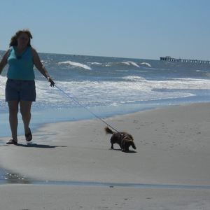 Meet your Posher, Diana